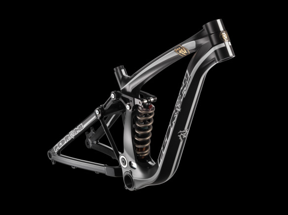 Lion Carbon